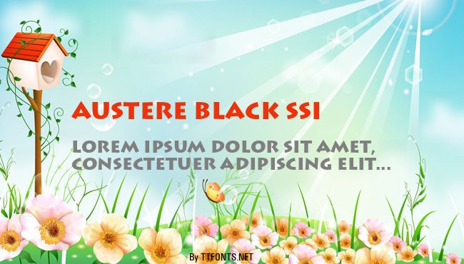 Austere Black SSi example